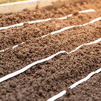 Saatbänder & Saatplatten