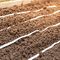 Saatbänder & Saatplatten