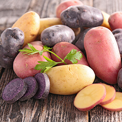 Kartoffeln aus Erhaltungsanbau