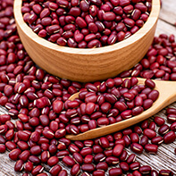 Adzukibohnensprossen