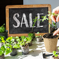 Anzucht & Gartenzubehör Sale