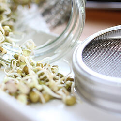 Keimsprossenzubehör