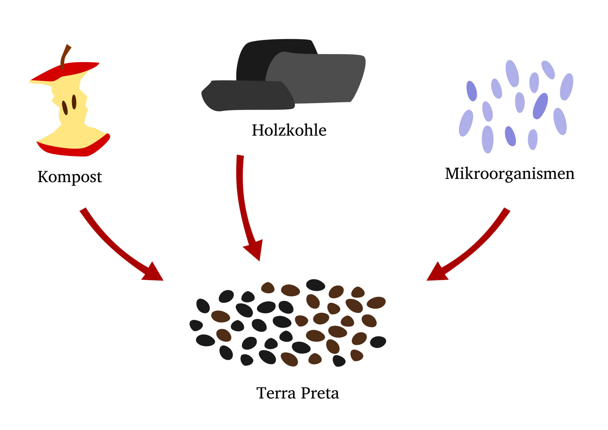 Terra Preta schwarze Erde für gute Ernten Samenhaus Gartenblog