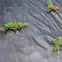 Folien, Vliese und Netze