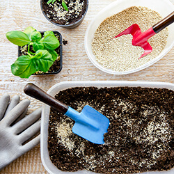 Gesteine & Mineralien