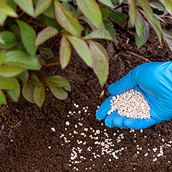 Kali- & Herbstdünger