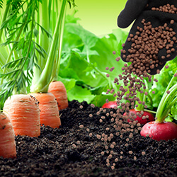 Obst- & Gemüsedünger