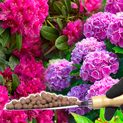 Rhododendron- & Hortensiendünger