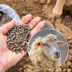Schafwollpellets & -dünger
