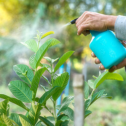 Pflanzenschutz & -pflege