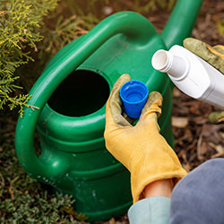 Pflanzenstärkungsmittel