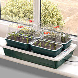 Elektrische Zimmergewächshäuser