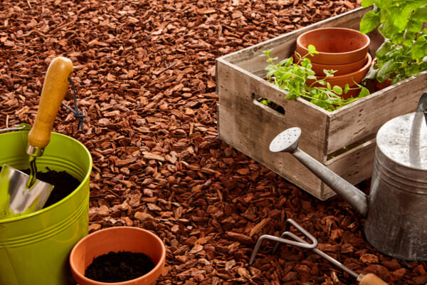 Mulchen Im Garten - So Geht Es - Samenhaus Gartenblog