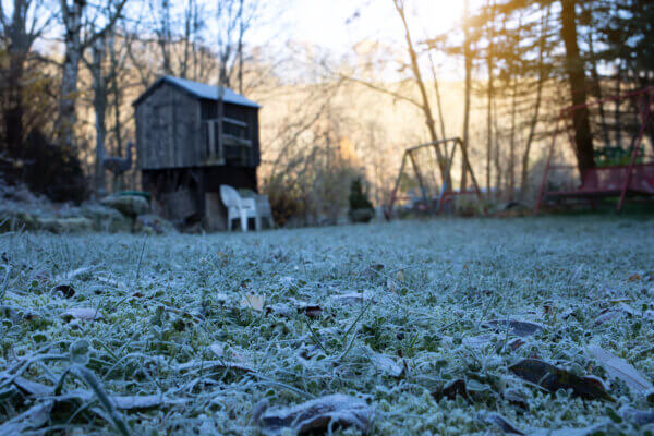 Winterruhe Frost