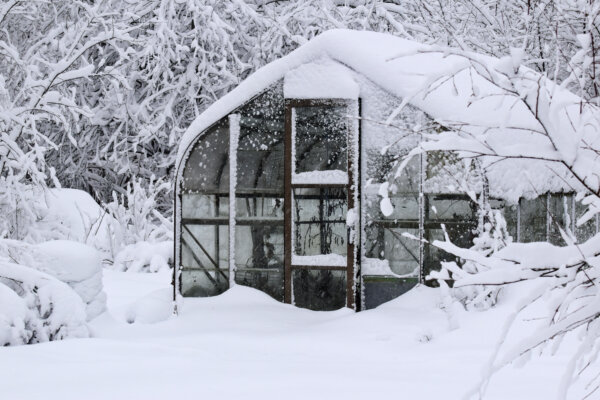 Gewächshaus im Schnee