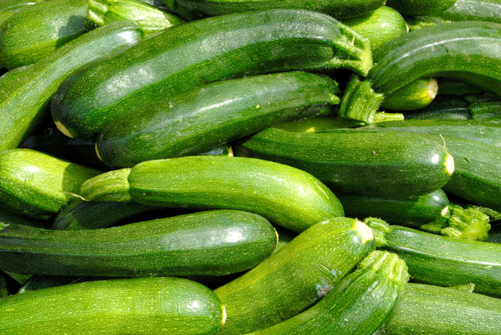 Zucchini-Schwemme – 5 Ideen für die Verwertung