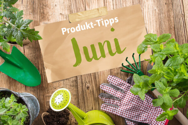 Produkt-Tipps_Juni