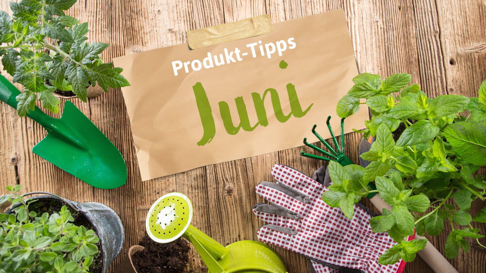 Produkt-Tipps_Juni