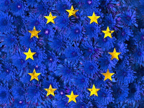Nationalblumen der Länder Europas – wenn es blüht und grünt
