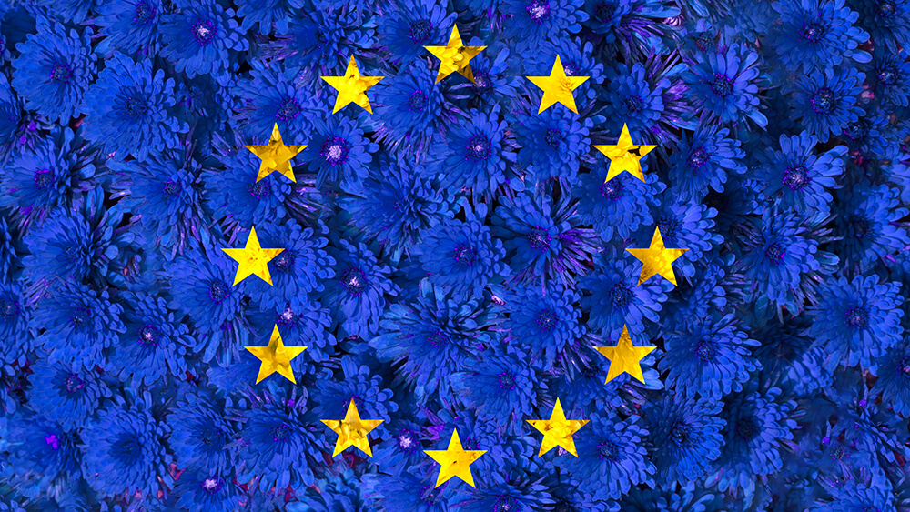 Nationalblumen Europas