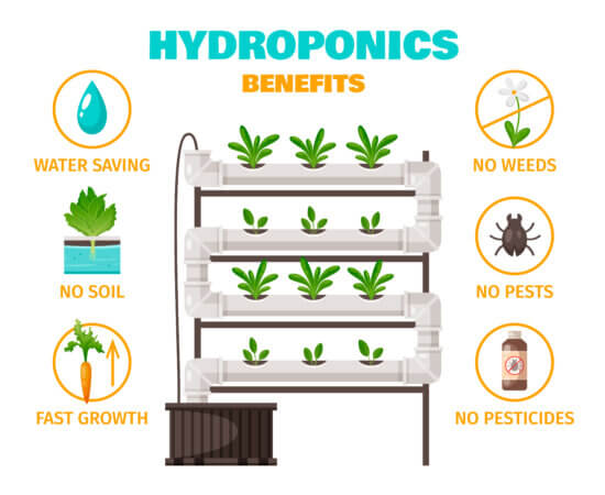 Hydroponik Vorteile