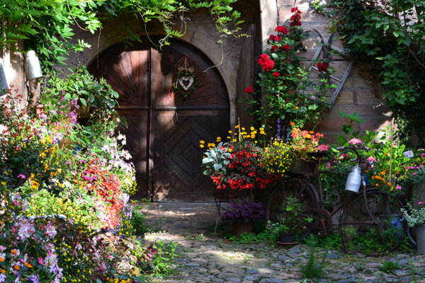 Innenhof mit vielen Pflanzen