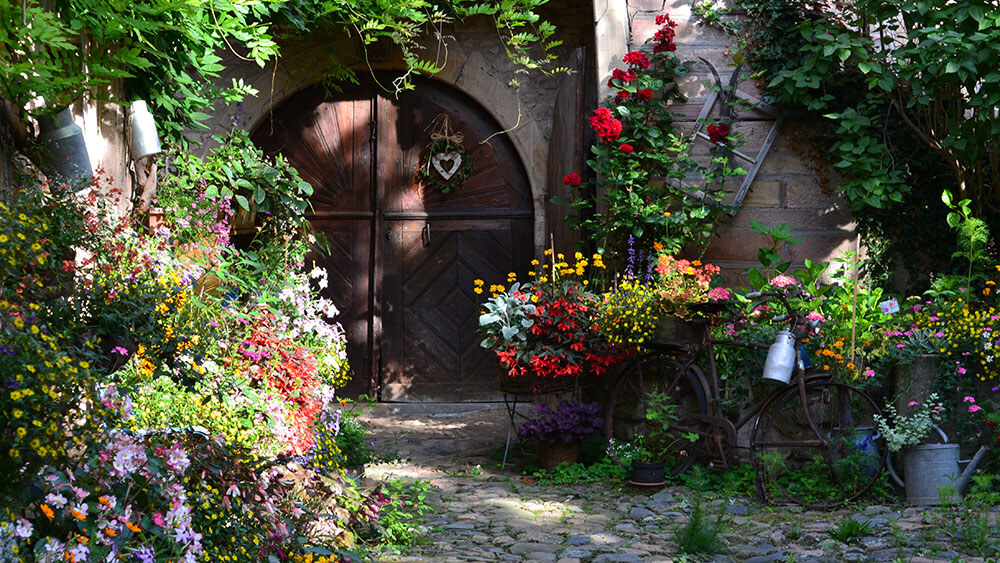 Innenhof mit vielen Pflanzen