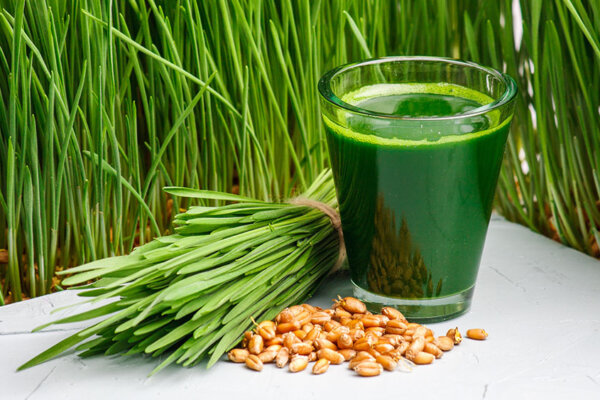 Weizengrassaft mit jungen Weizengras und Samen