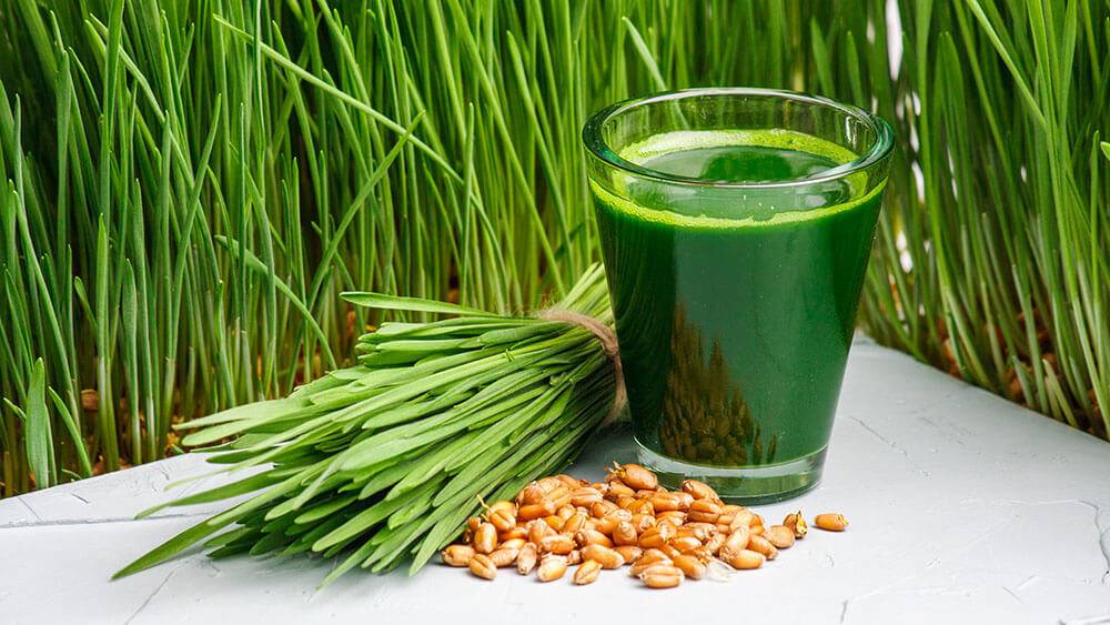 Weizengrassaft mit jungen Weizengras und Samen