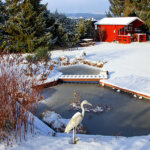 Teich im Winter eisfrei halten – 6 Tipps