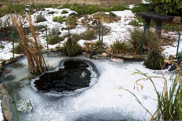 Teich Eisschicht