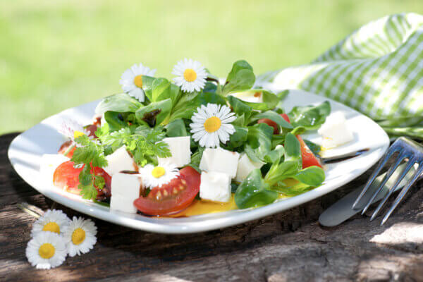 Gänseblümchen-Salat