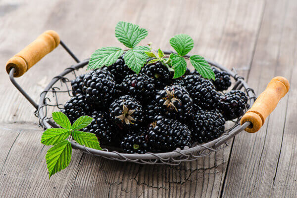 Brombeeren in der Schale