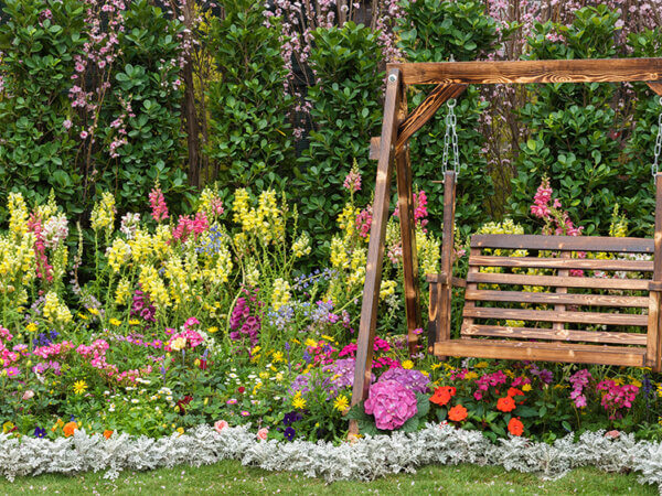 Naturgarten – 10 heimische Blumen für Insekten und Vögel