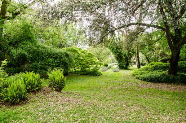 Waldgarten anlegen